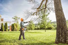 Lawn Renovation and Restoration in Rossville, GA